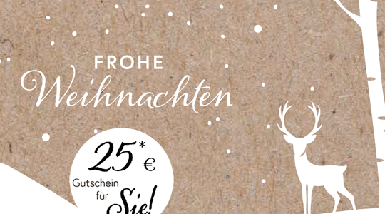 Weihnachtsaktion